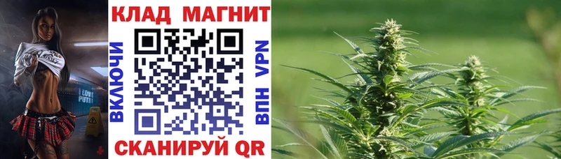 Продажа наркотиков Лебедянь ГАШИШ СК АМФЕТАМИН Мефедрон Марихуана Псилоцибиновые грибы КОКАИН