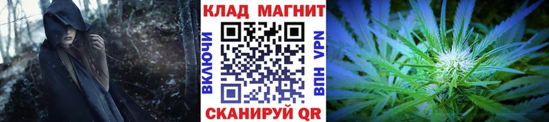  COCAIN Лебедянь